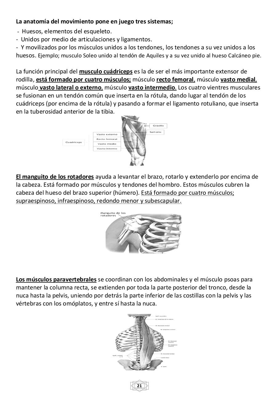 Vista previa del archivo PDF curso-b-sico-de-quiromasaje-terapeutico-2015.pdf