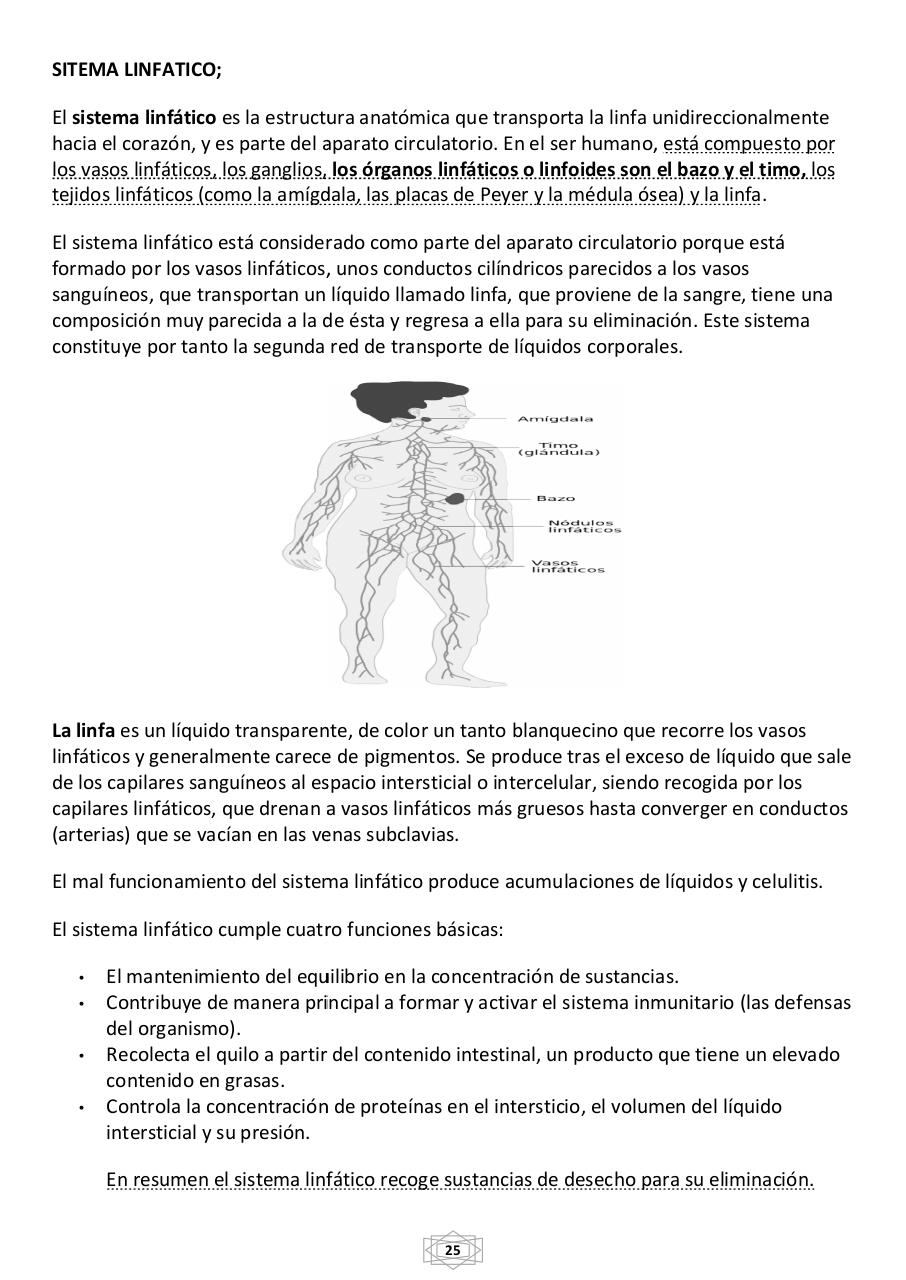 Vista previa del archivo PDF curso-b-sico-de-quiromasaje-terapeutico-2015.pdf