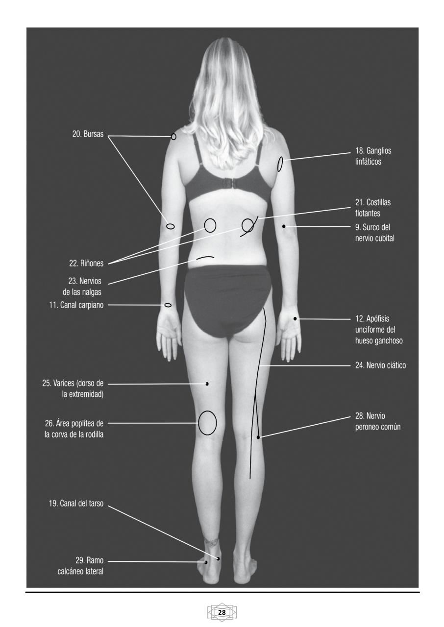 Vista previa del archivo PDF curso-b-sico-de-quiromasaje-terapeutico-2015.pdf
