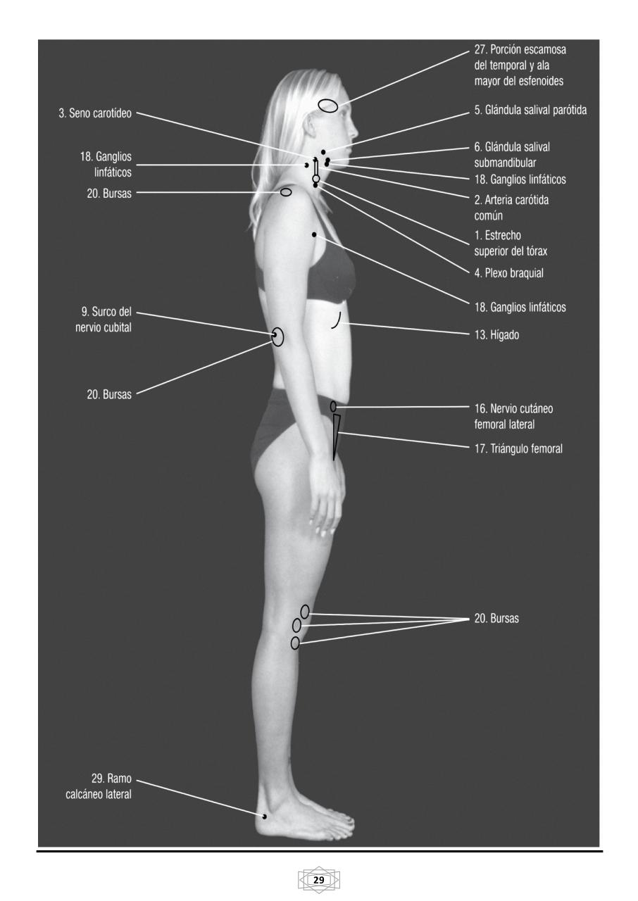 Vista previa del archivo PDF curso-b-sico-de-quiromasaje-terapeutico-2015.pdf