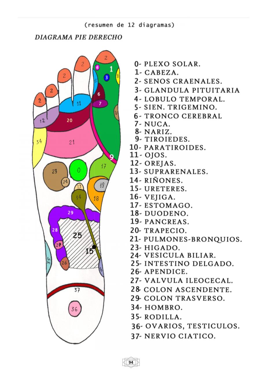 Vista previa del archivo PDF curso-b-sico-de-quiromasaje-terapeutico-2015.pdf