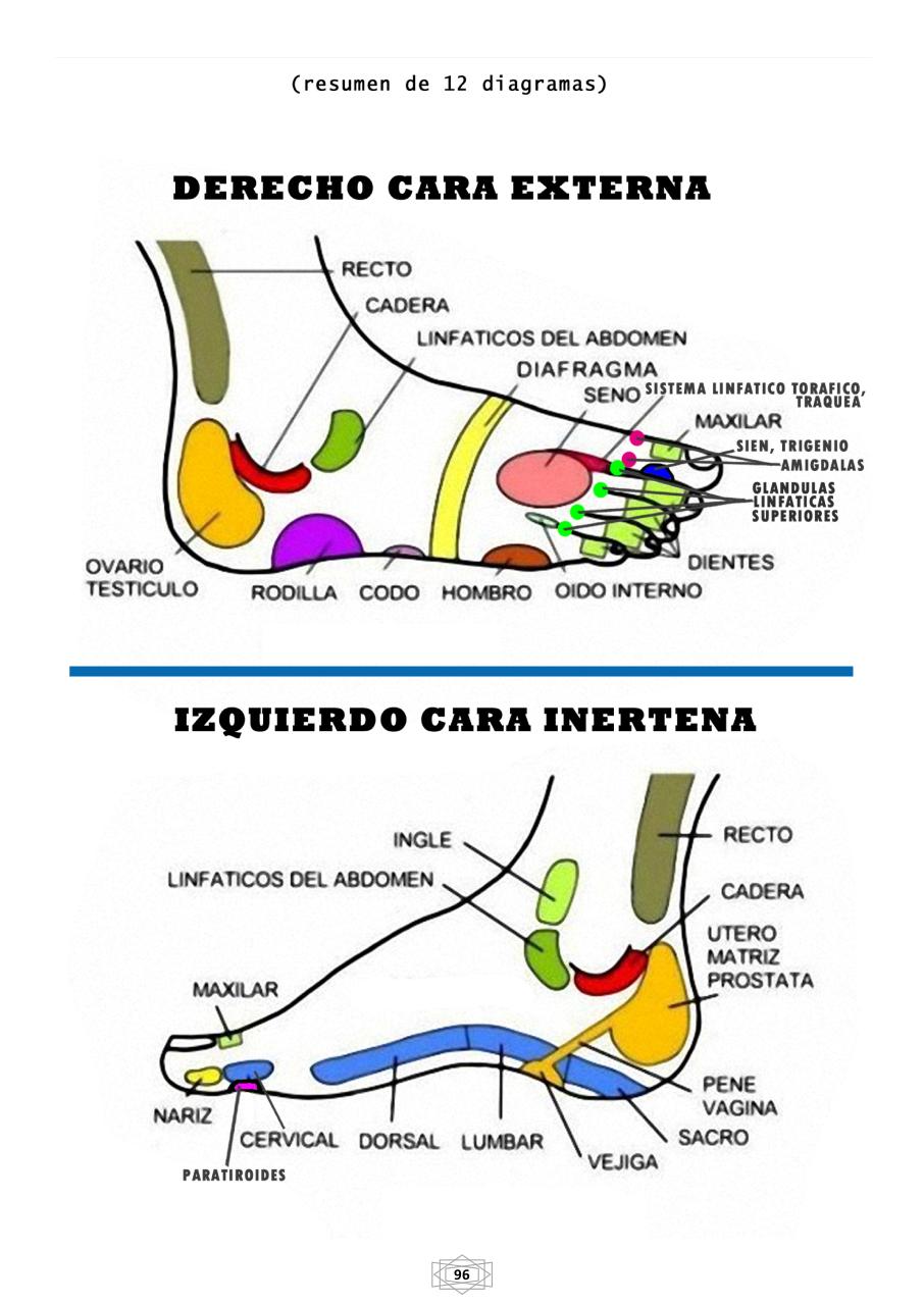 Vista previa del archivo PDF curso-b-sico-de-quiromasaje-terapeutico-2015.pdf