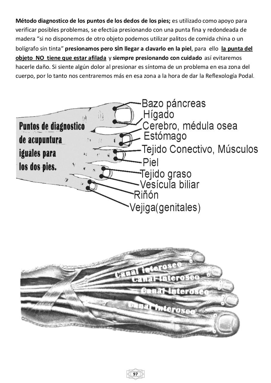 Vista previa del archivo PDF curso-b-sico-de-quiromasaje-terapeutico-2015.pdf