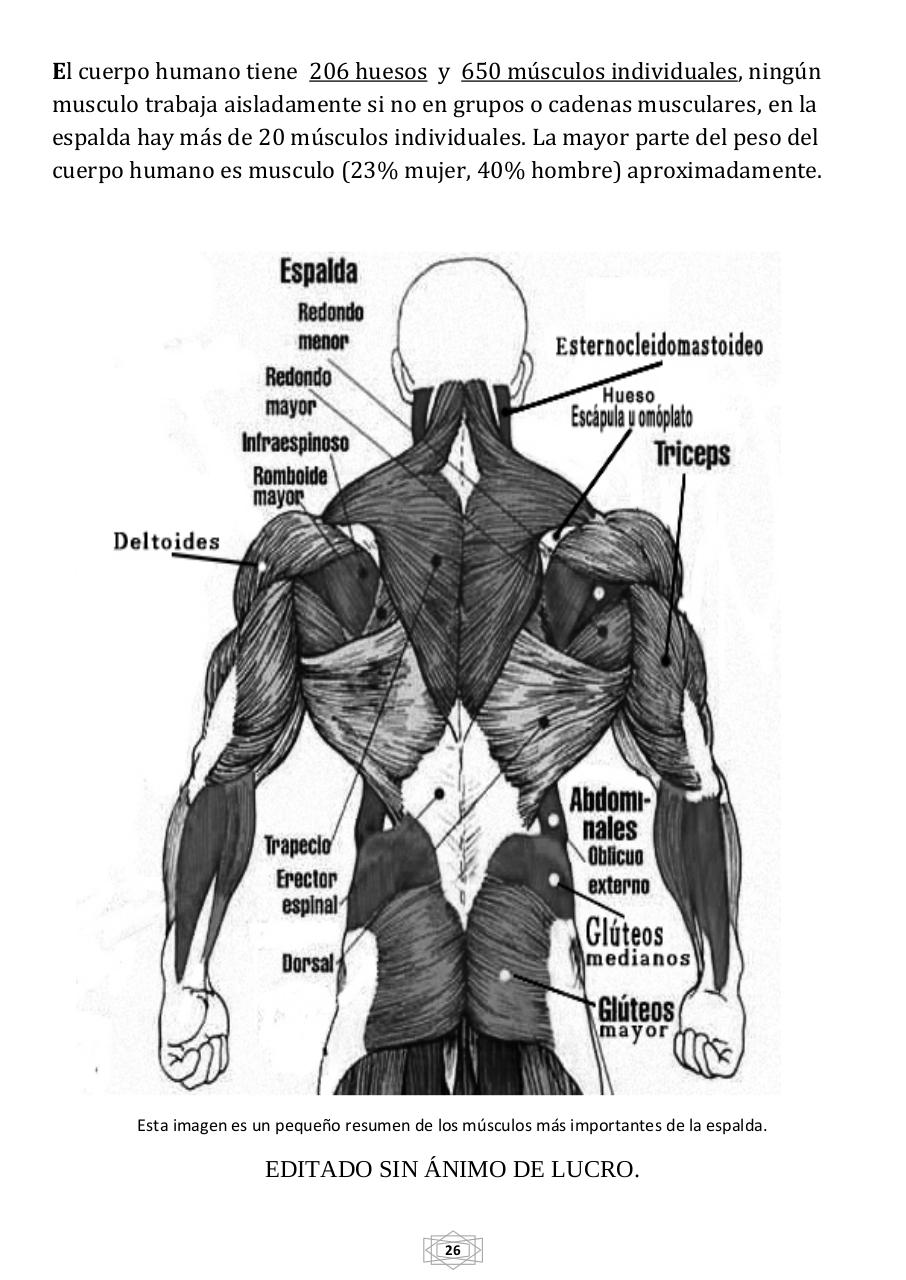 Vista previa del archivo PDF manual-de-masaje-de-espalda-relajante-con-reiki-2016.pdf