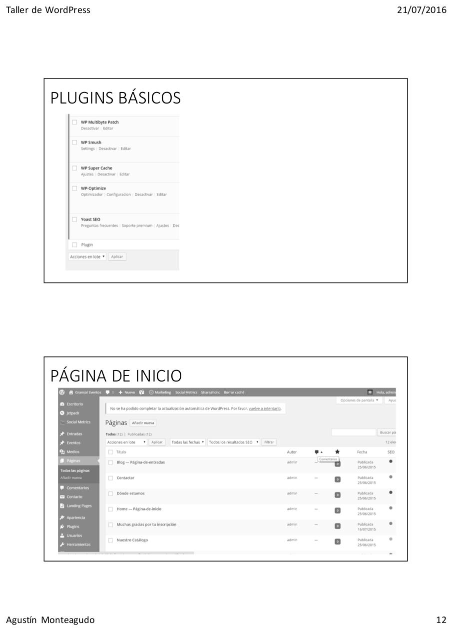 Vista previa del archivo PDF wordpress-mi-socio-y-amigo.pdf