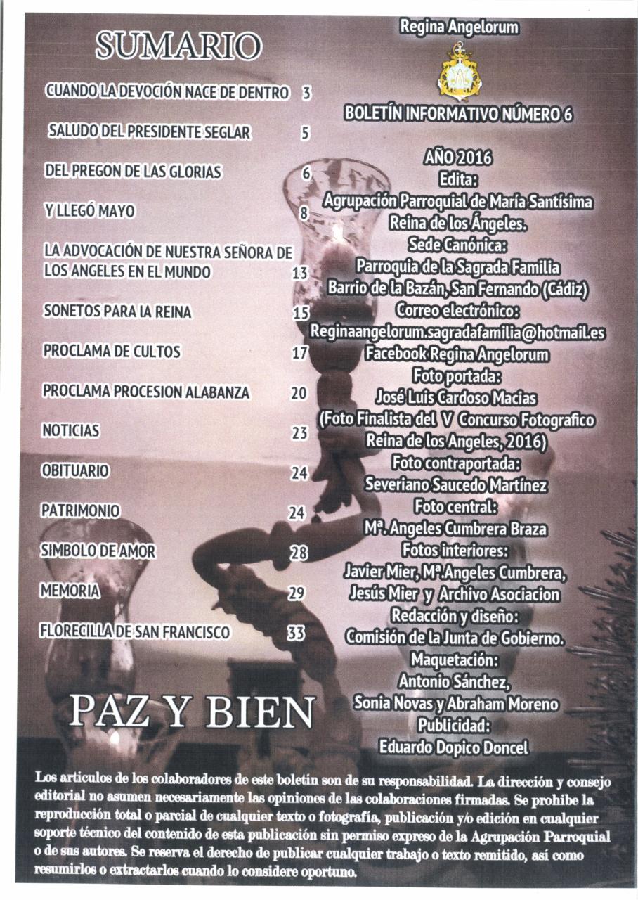 Vista previa del archivo PDF boletin-2016.pdf