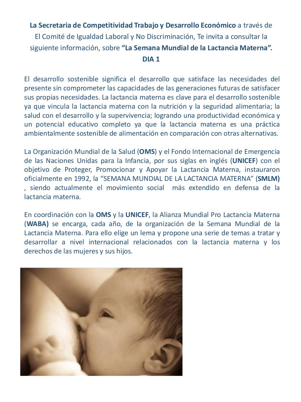 Vista previa del archivo PDF informacio-n-lactancia.pdf