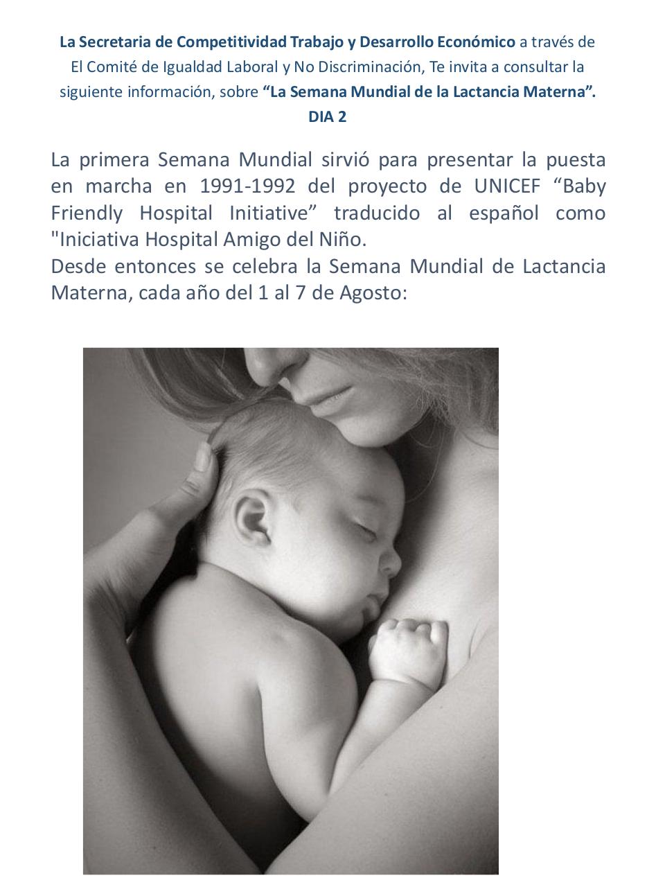 Vista previa del archivo PDF informacio-n-lactancia.pdf