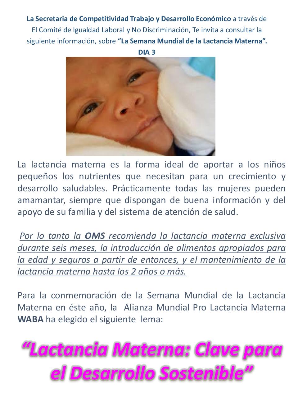 Vista previa del archivo PDF informacio-n-lactancia.pdf
