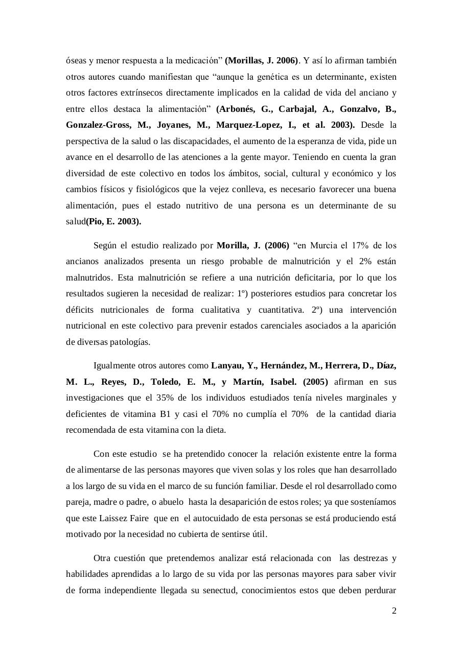 Vista previa del archivo PDF tfg-francisco-vidal-mazo-junio.pdf