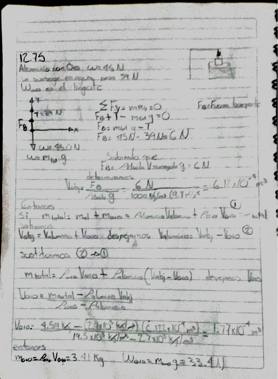 Vista previa del archivo PDF mauricio-rojas.pdf