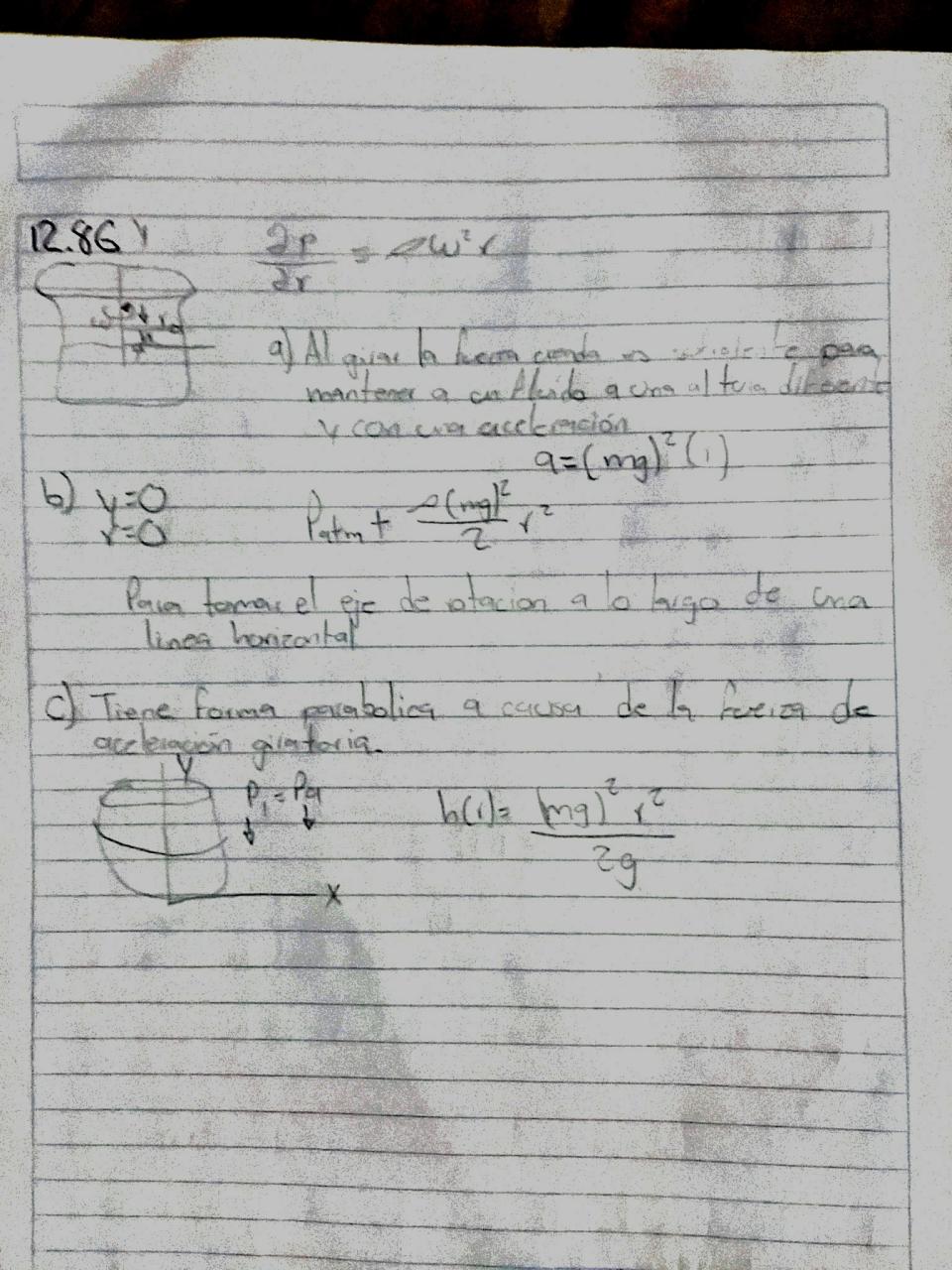 Vista previa del archivo PDF mauricio-rojas.pdf