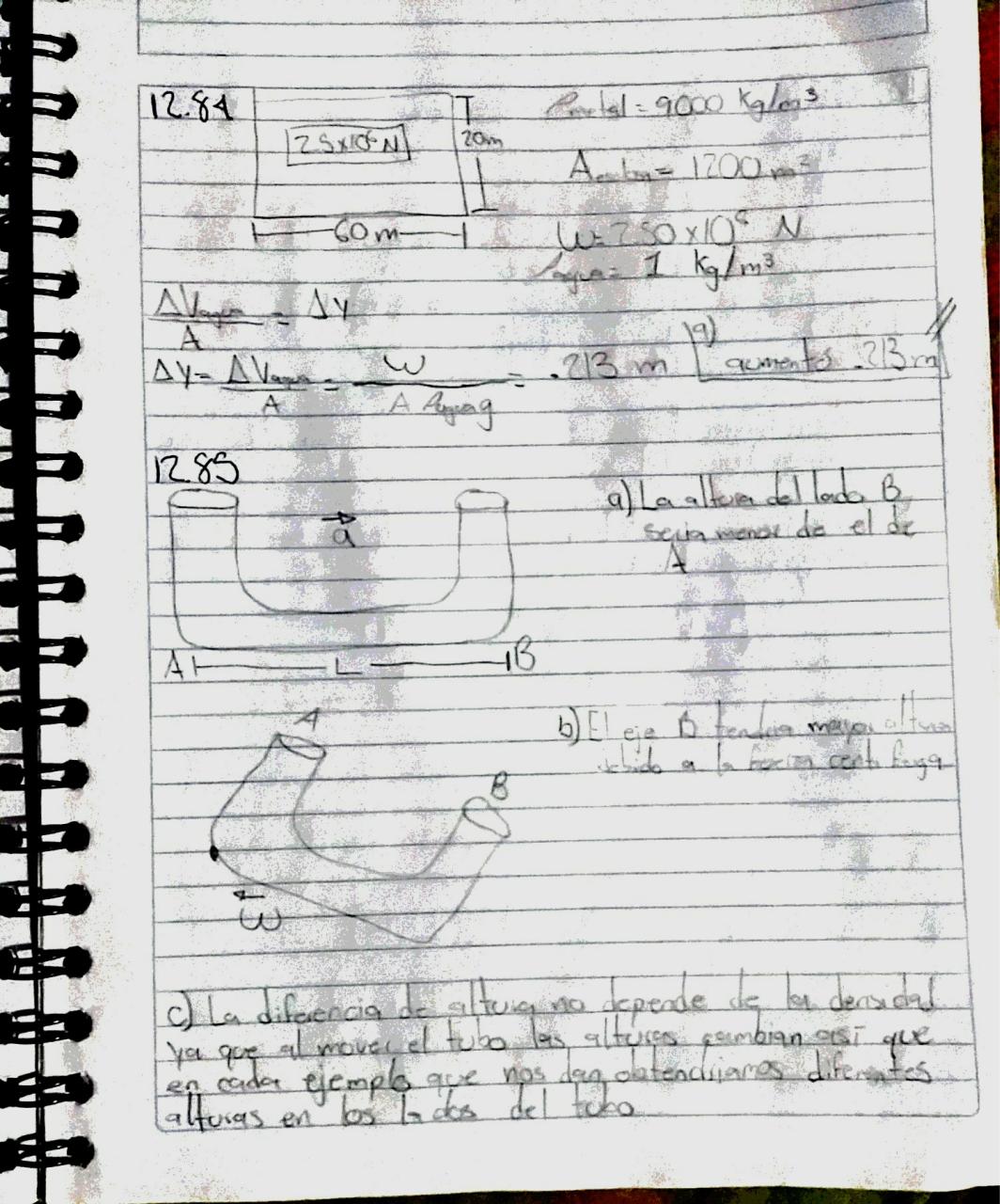 Vista previa del archivo PDF mauricio-rojas.pdf