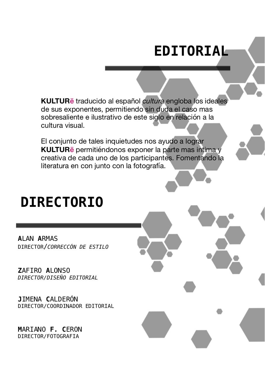Vista previa del archivo PDF kulturee.pdf