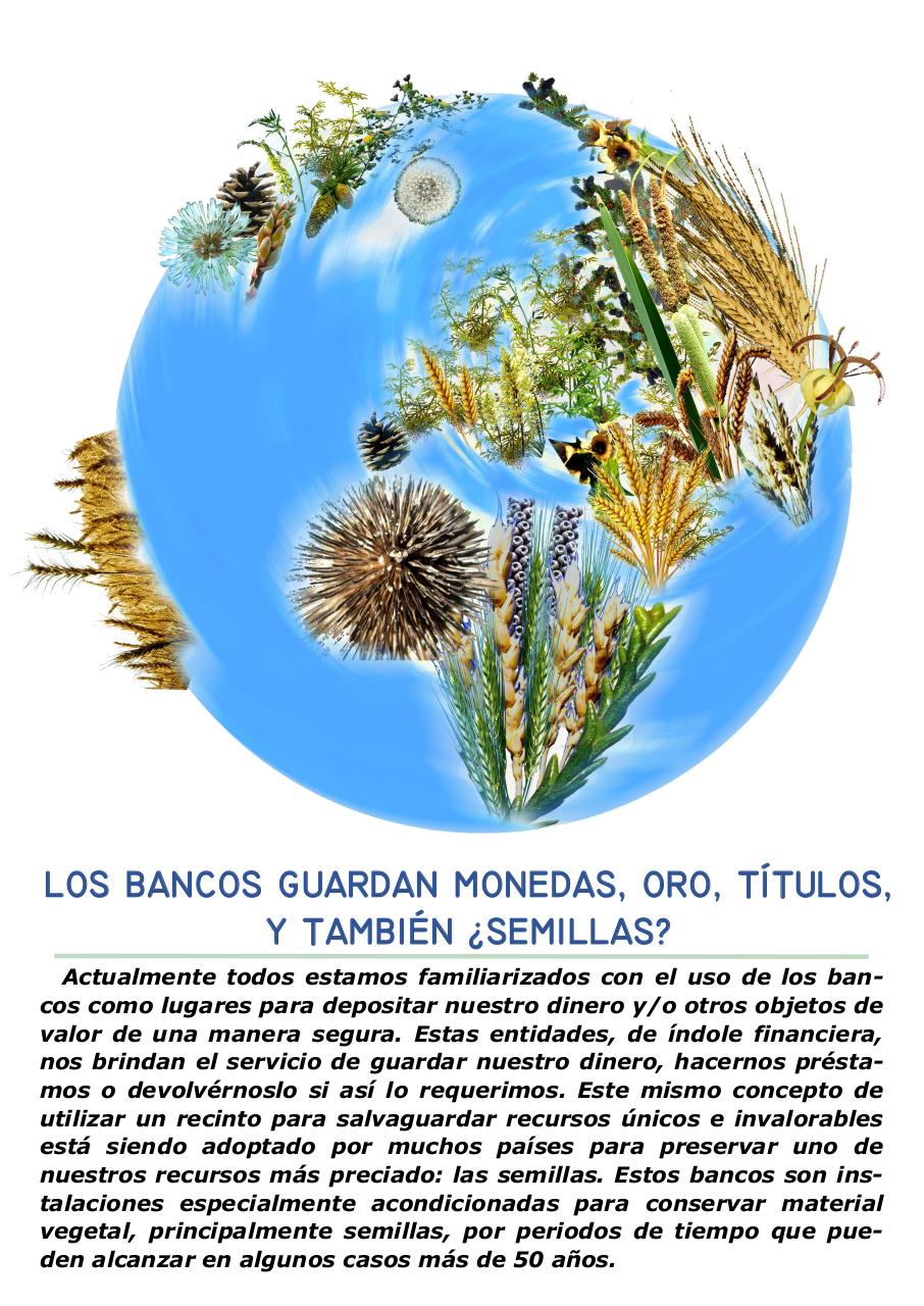 Vista previa del archivo PDF revista-ambiente-siglo-xxi-n-31-noviembre-diciembre.pdf