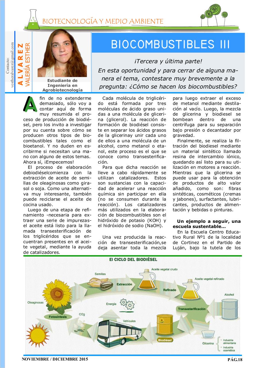 Vista previa del archivo PDF revista-ambiente-siglo-xxi-n-31-noviembre-diciembre.pdf