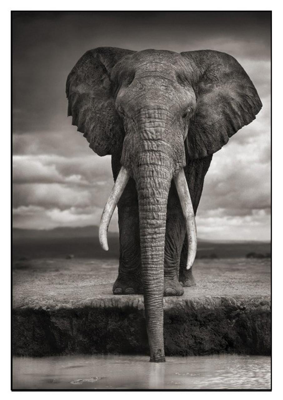 Vista previa del archivo PDF revista-ambiente-siglo-xxi-n-31-noviembre-diciembre.pdf