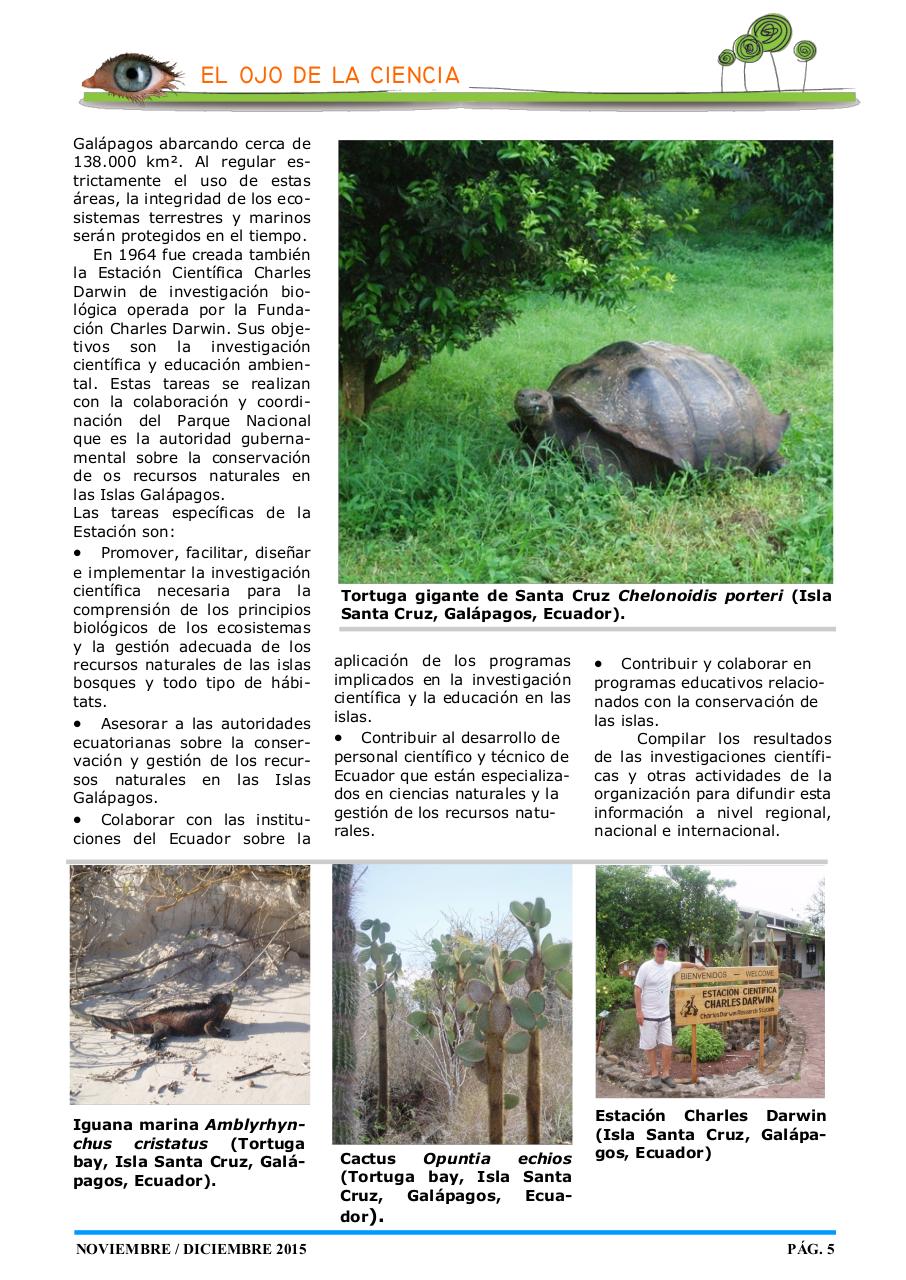 Vista previa del archivo PDF revista-ambiente-siglo-xxi-n-31-noviembre-diciembre.pdf