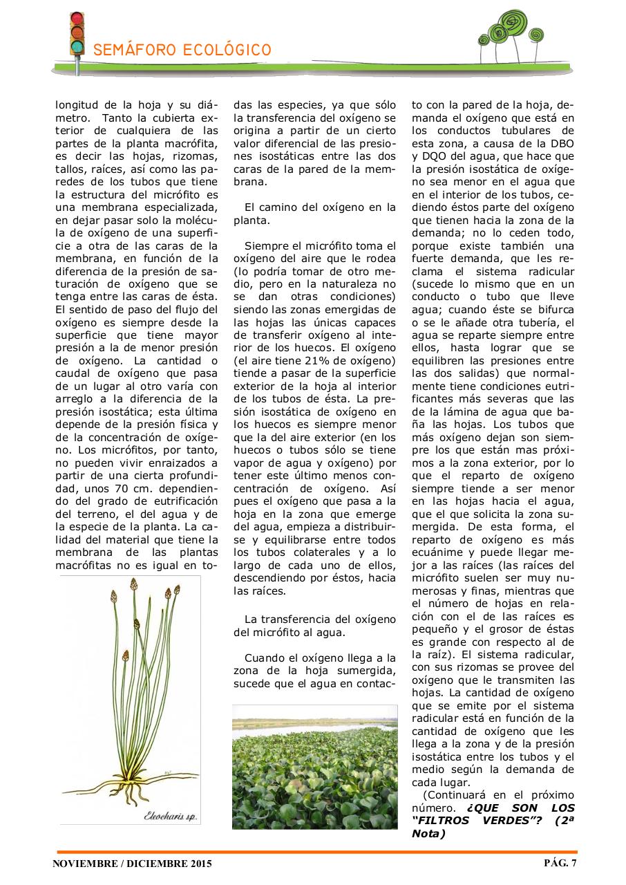Vista previa del archivo PDF revista-ambiente-siglo-xxi-n-31-noviembre-diciembre.pdf