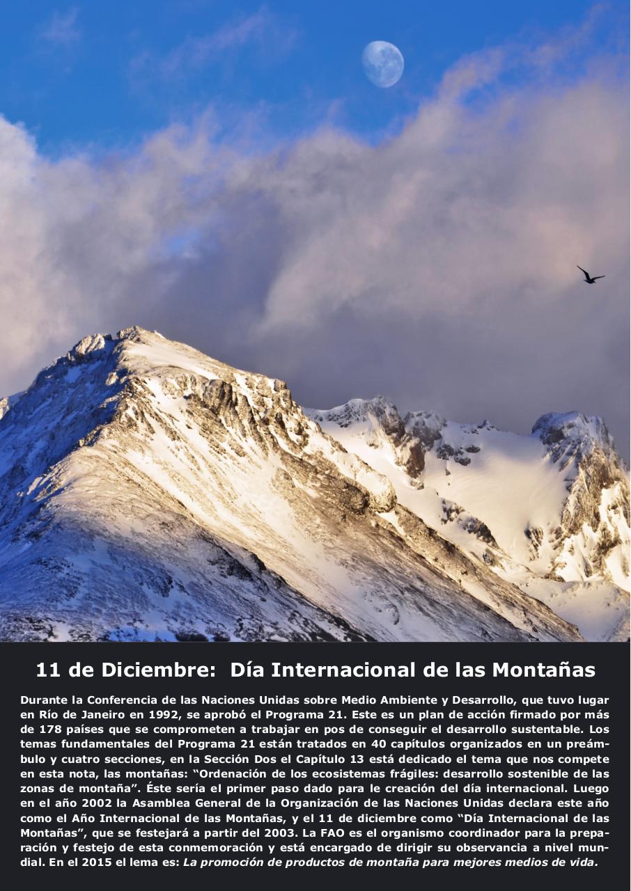 Vista previa del archivo PDF revista-ambiente-siglo-xxi-n-31-noviembre-diciembre.pdf