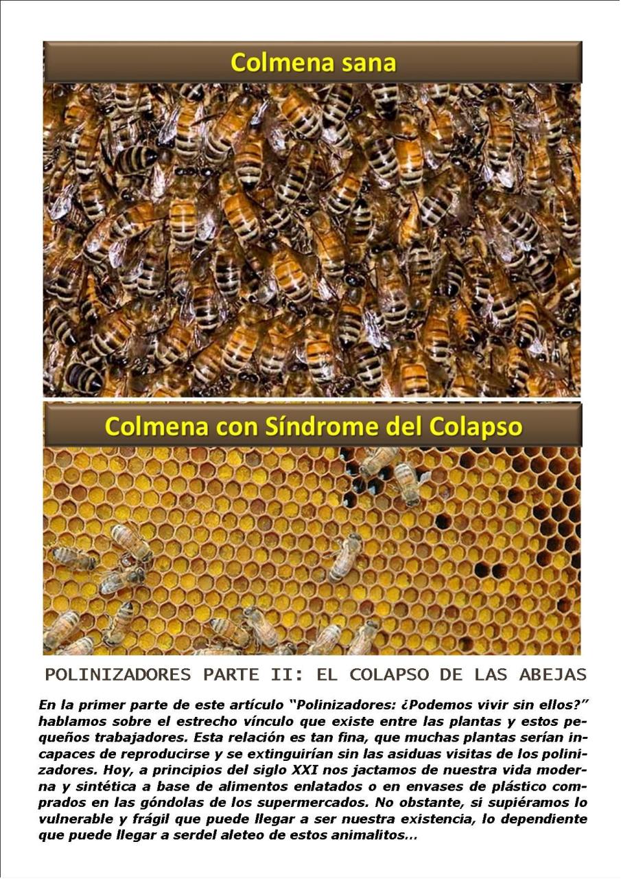 Vista previa del archivo PDF revista-ambiente-siglo-xxi-n-33-agosto-septiembre.pdf
