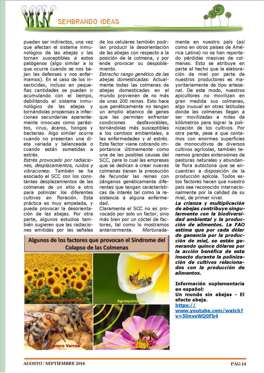 Vista previa del archivo PDF revista-ambiente-siglo-xxi-n-33-agosto-septiembre.pdf