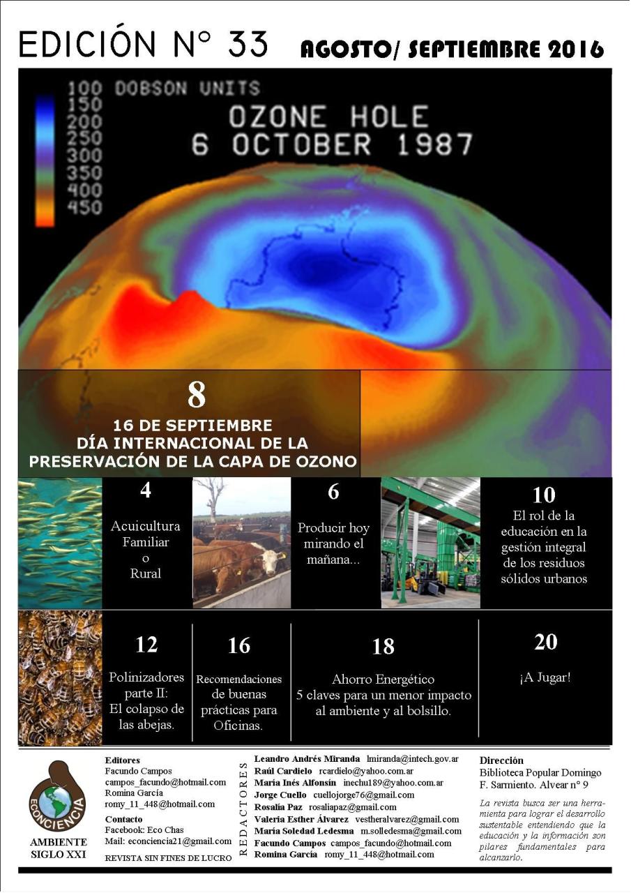 Vista previa del archivo PDF revista-ambiente-siglo-xxi-n-33-agosto-septiembre.pdf