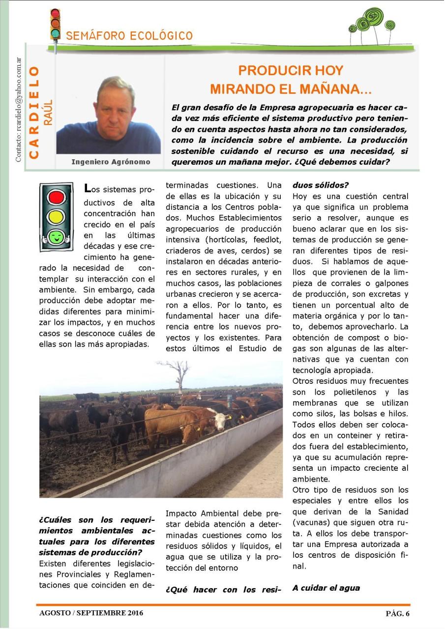 Vista previa del archivo PDF revista-ambiente-siglo-xxi-n-33-agosto-septiembre.pdf