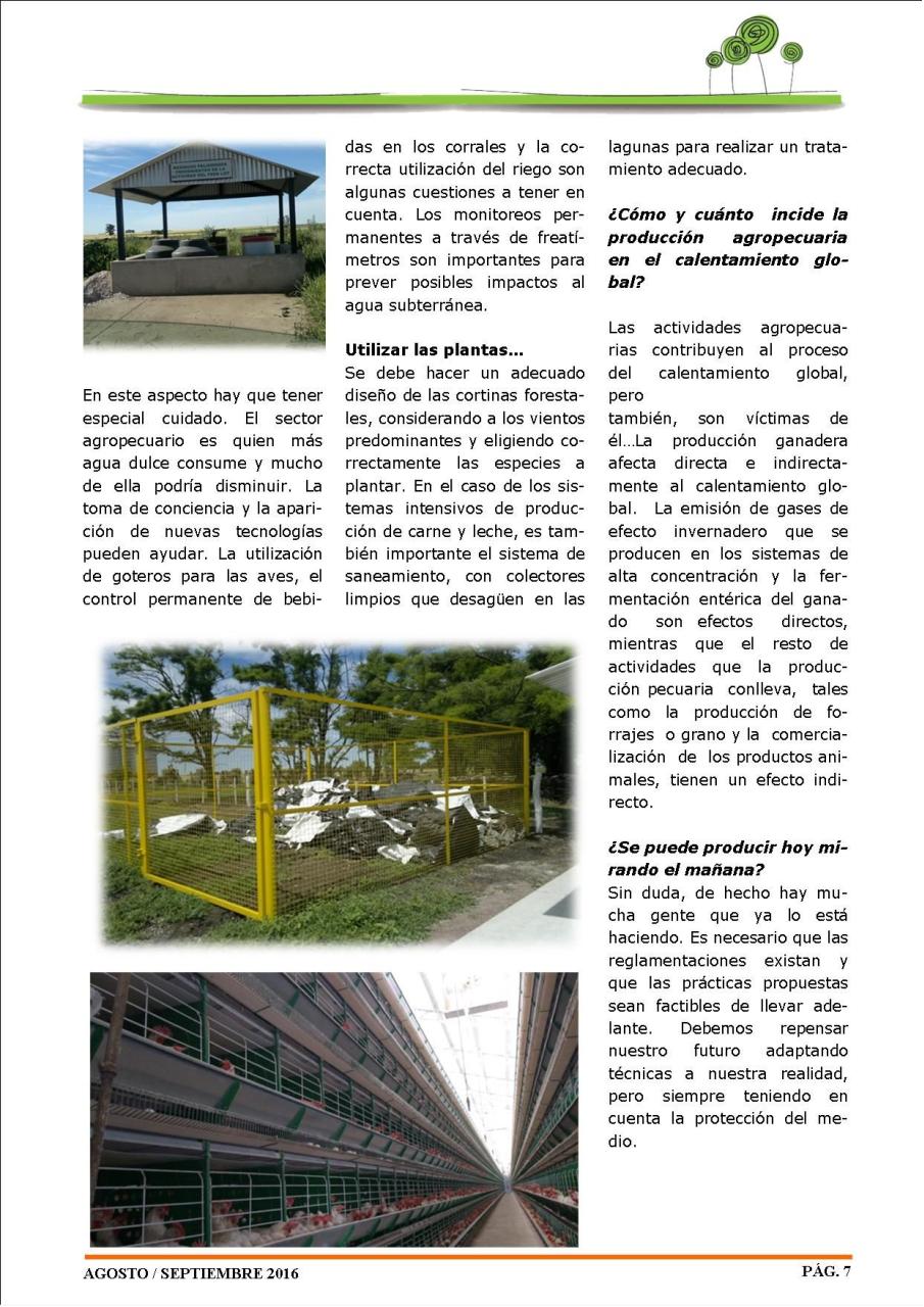 Vista previa del archivo PDF revista-ambiente-siglo-xxi-n-33-agosto-septiembre.pdf
