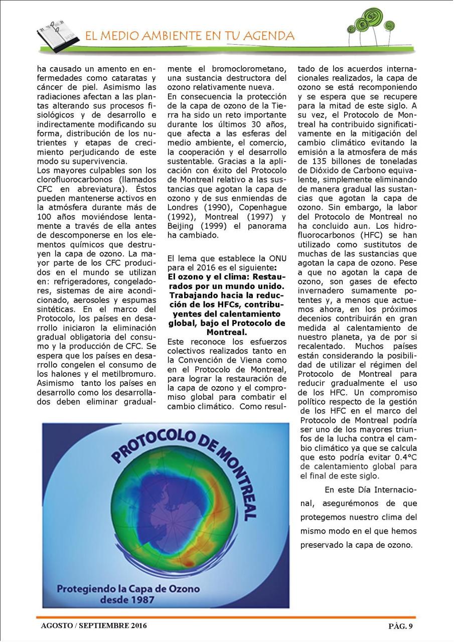 Vista previa del archivo PDF revista-ambiente-siglo-xxi-n-33-agosto-septiembre.pdf