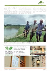 Revista Ambiente Siglo XXI. NÂ° 33 Agosto-Septiembre.pdf - página 5/22