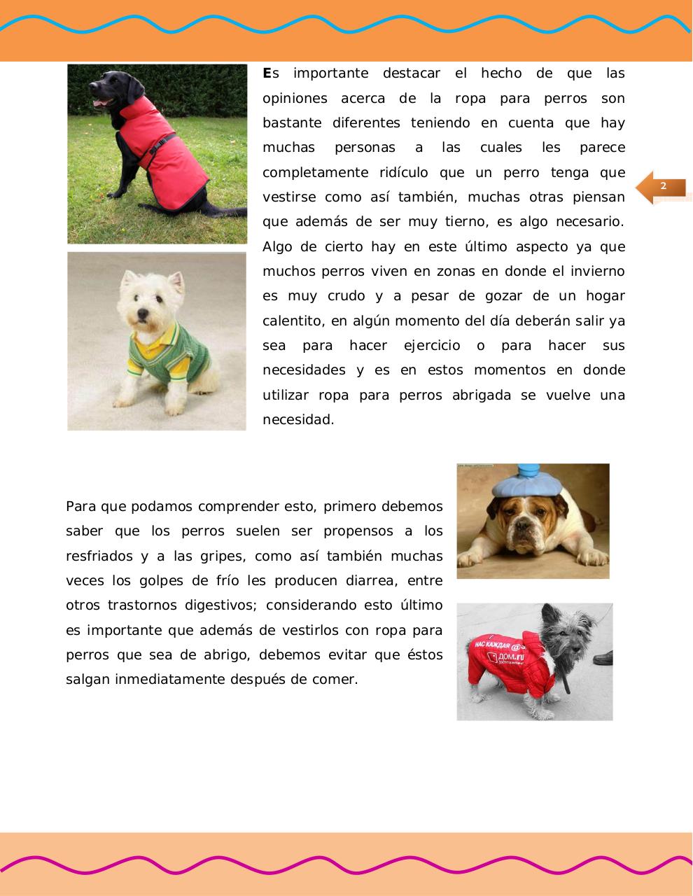 Vista previa del archivo PDF manual-de-moda-canina-1.pdf