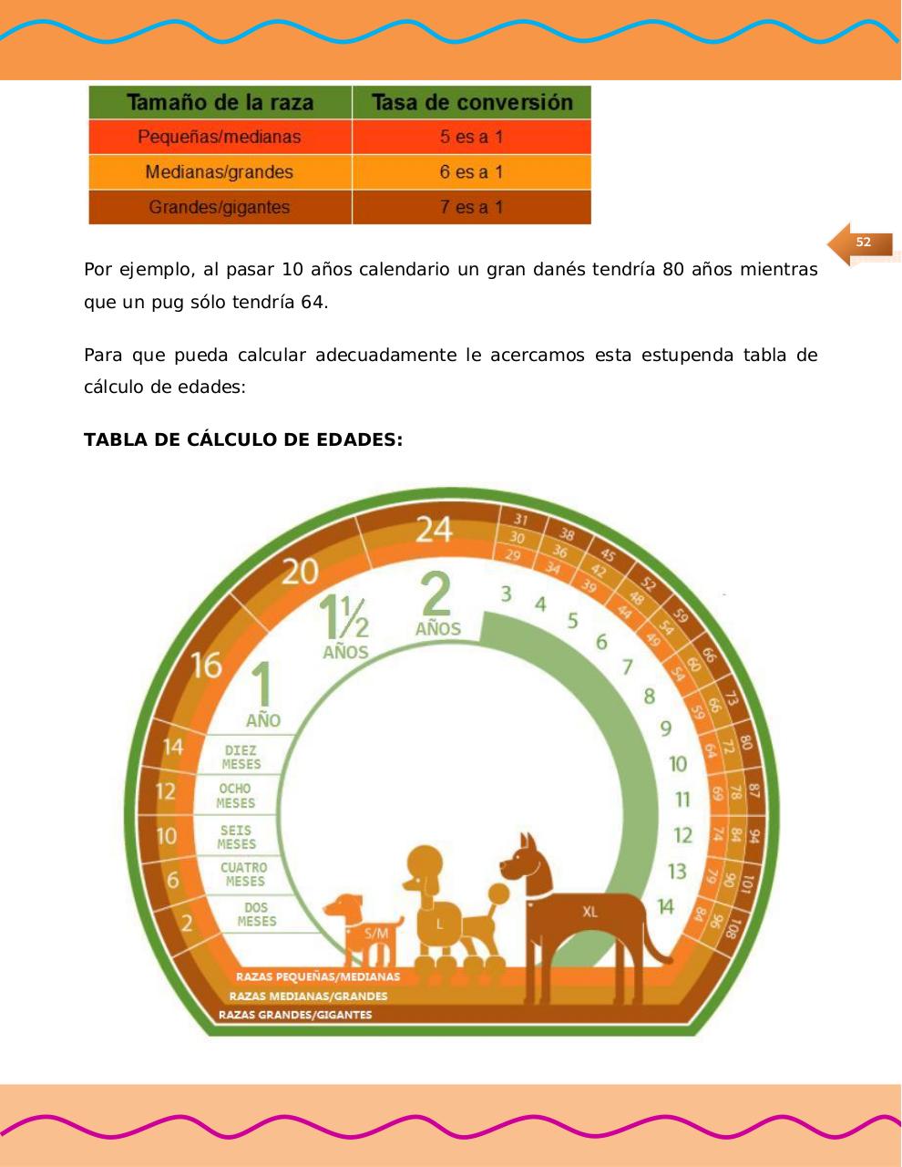 Vista previa del archivo PDF manual-de-moda-canina-1.pdf