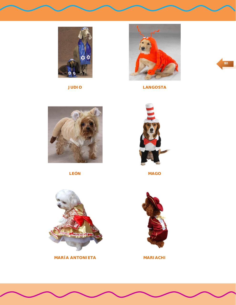 Vista previa del archivo PDF manual-de-moda-canina-2.pdf