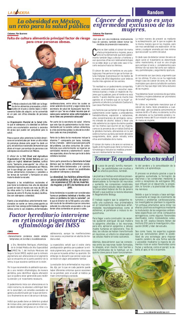Vista previa del archivo PDF sexta-edici-n-la-bandera-noticias-noticias-del-sur-de-guanajuato.pdf
