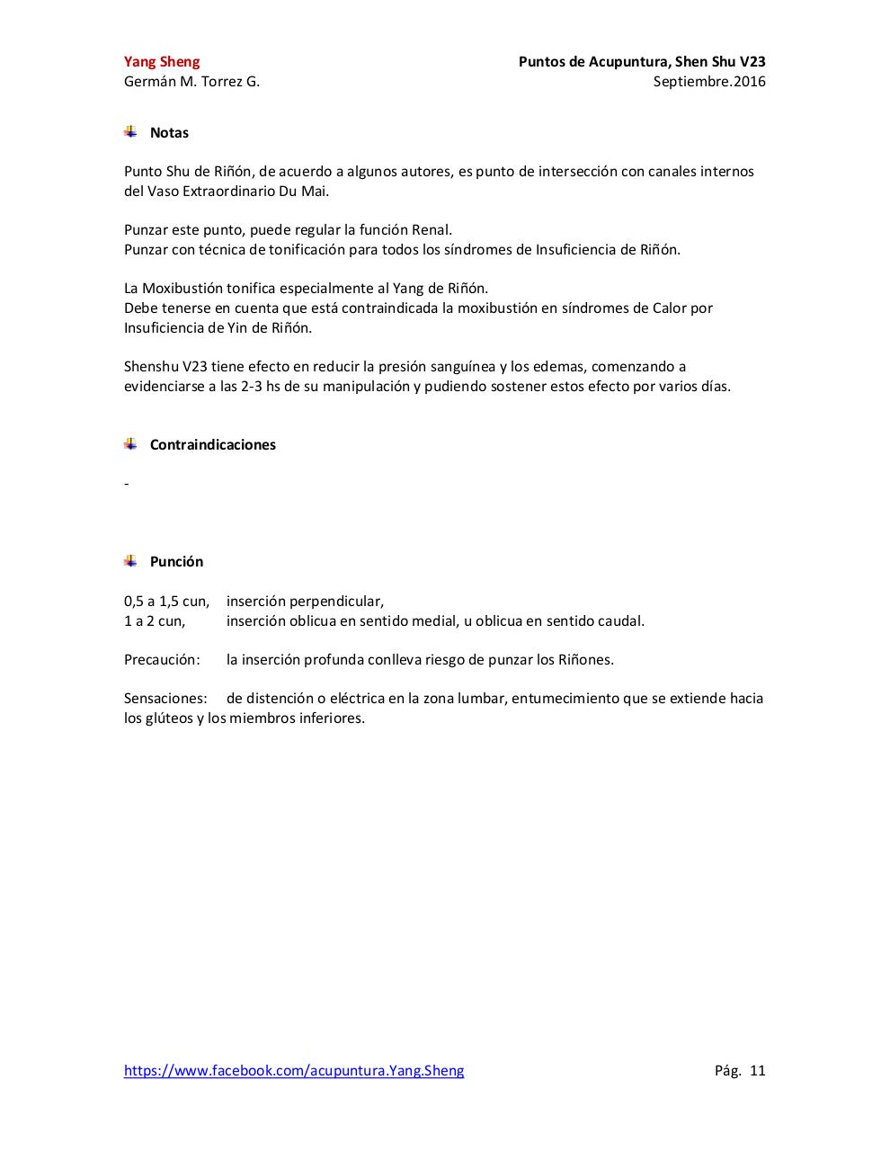 Vista previa del archivo PDF v23-shen-shu.pdf