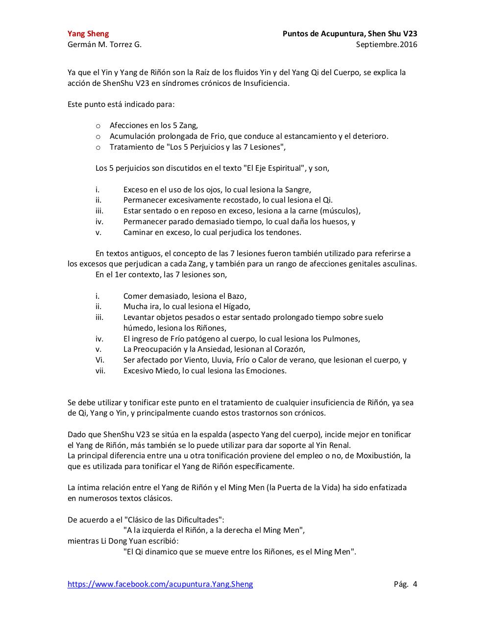 Vista previa del archivo PDF v23-shen-shu.pdf