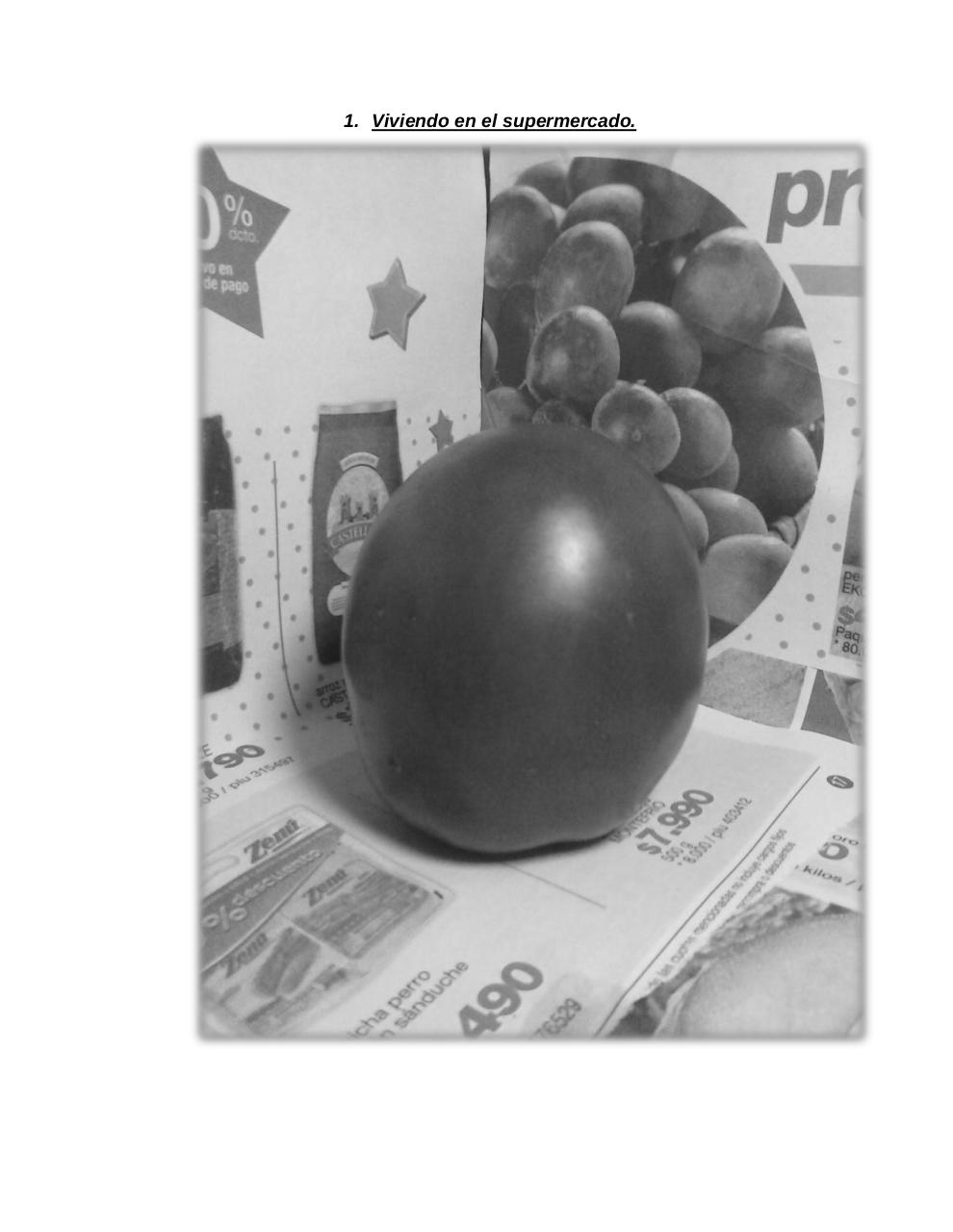 Vista previa del archivo PDF el-tomate-mec-nico.pdf