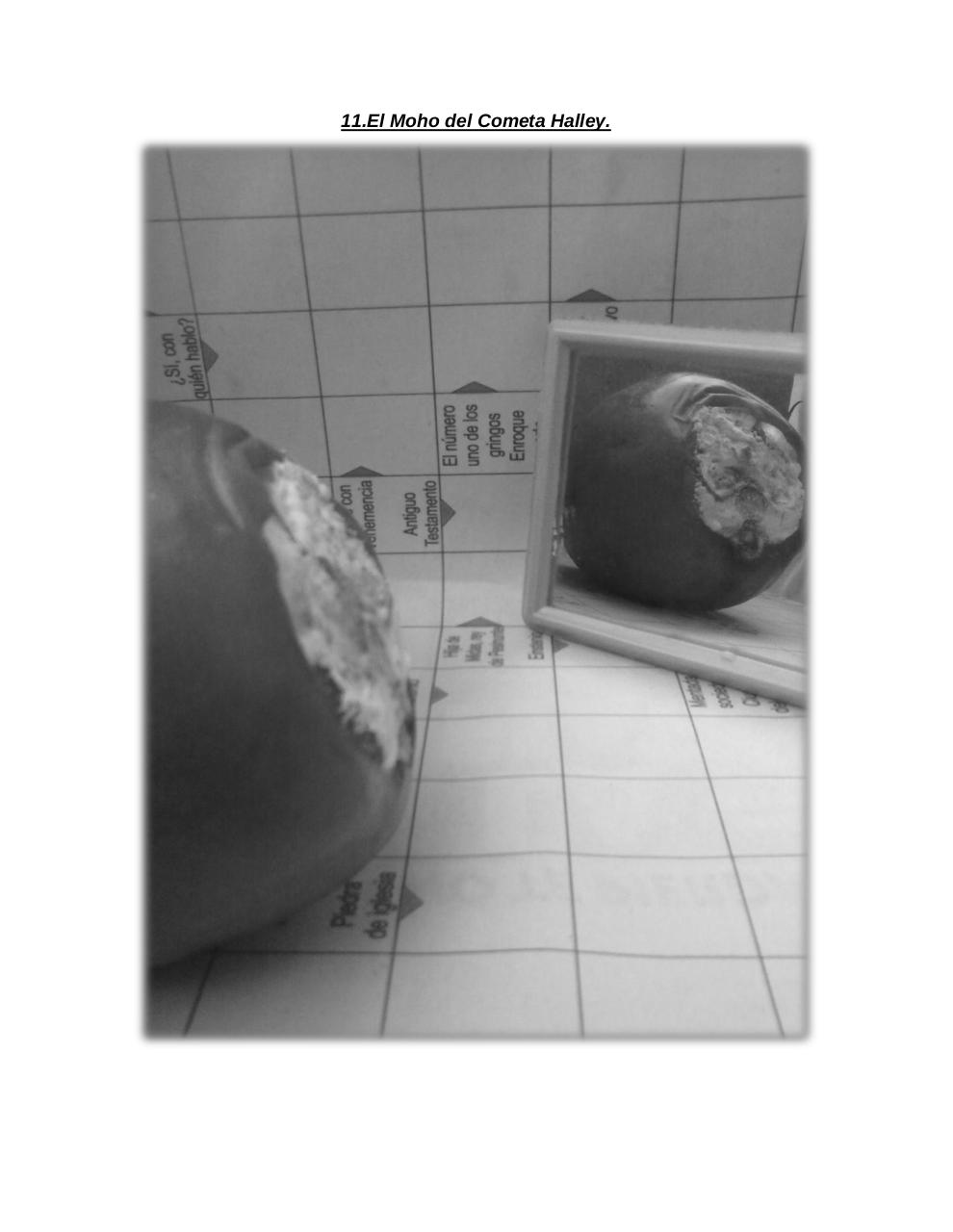 Vista previa del archivo PDF el-tomate-mec-nico.pdf