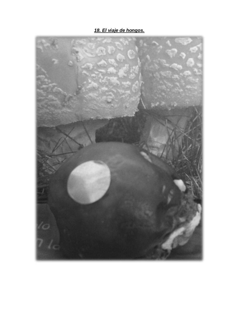 Vista previa del archivo PDF el-tomate-mec-nico.pdf