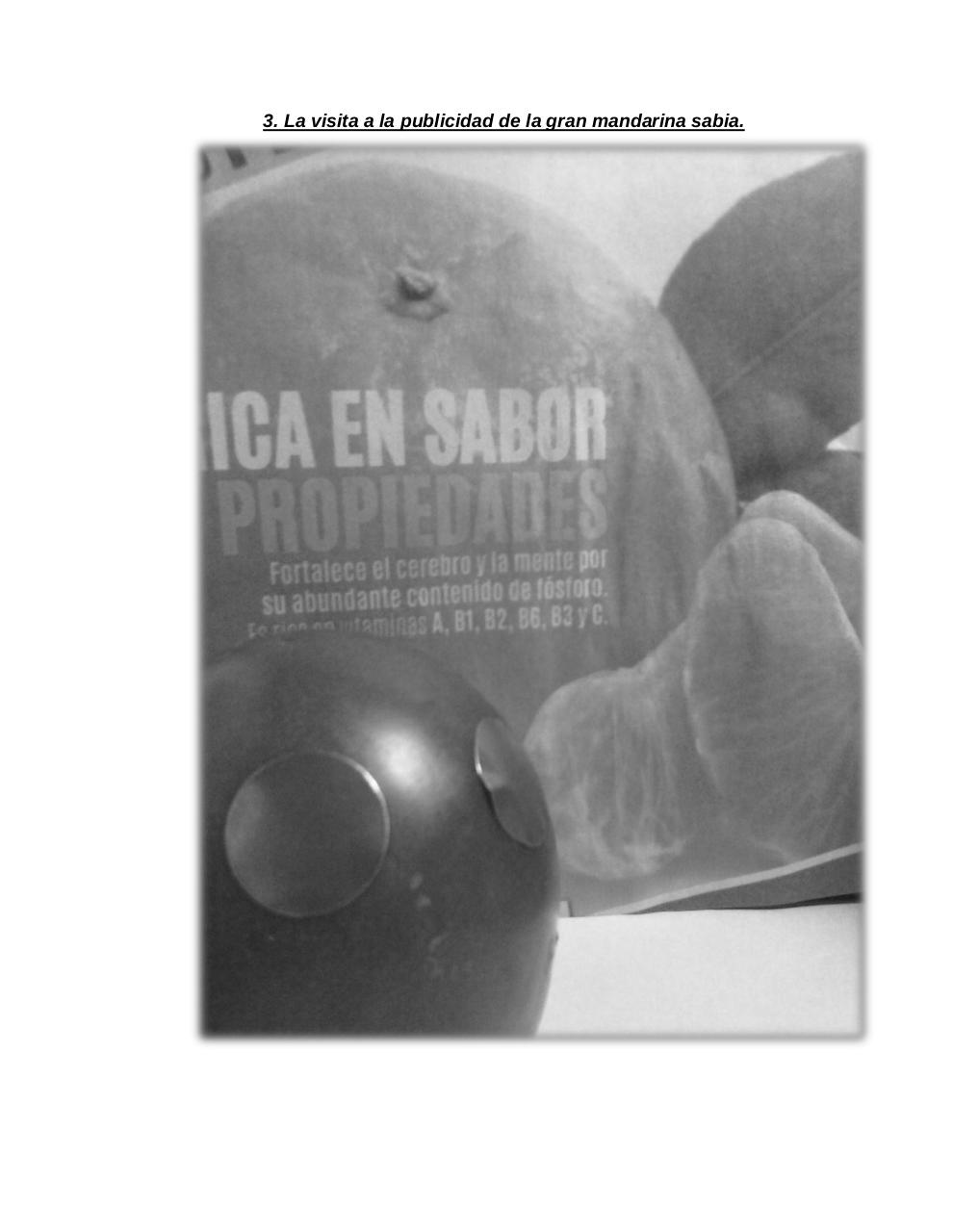 Vista previa del archivo PDF el-tomate-mec-nico.pdf