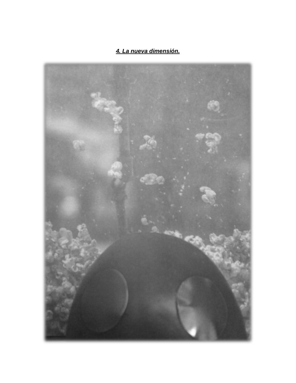 Vista previa del archivo PDF el-tomate-mec-nico.pdf