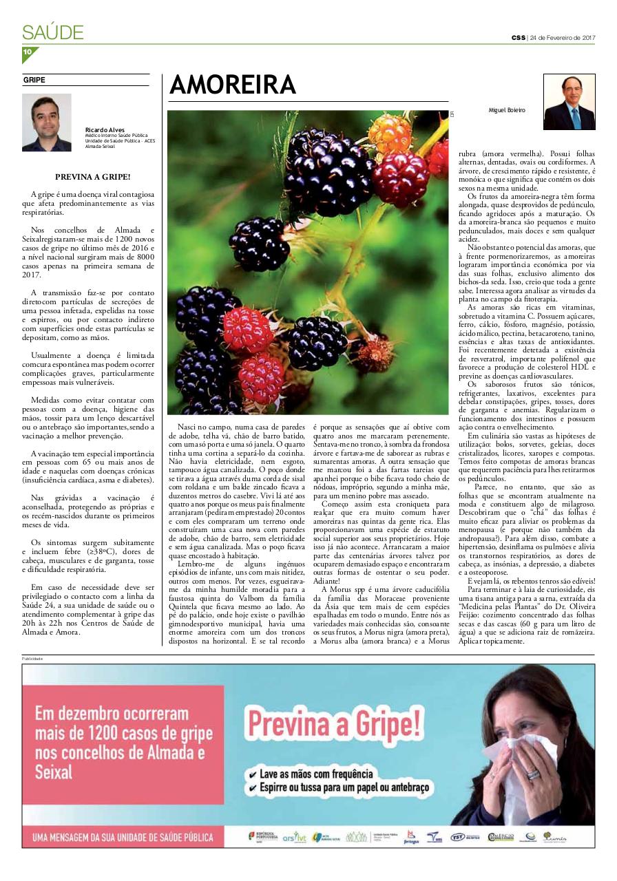 Vista previa del archivo PDF comercio-330.pdf