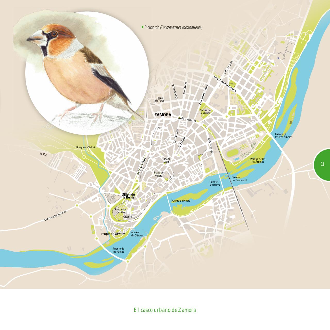 Vista previa del archivo PDF gu-a-aves-y-naturaleza-2017.pdf