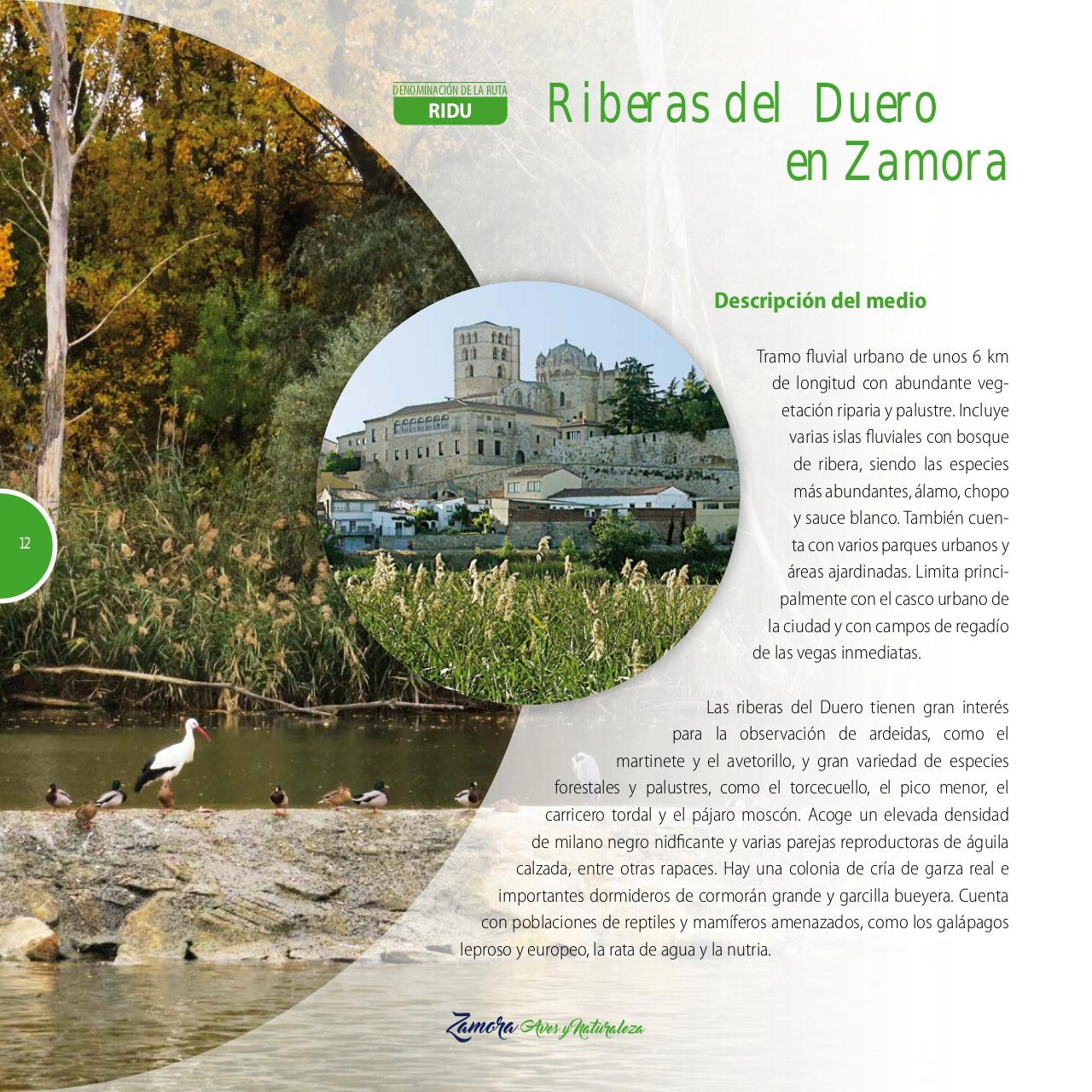 Vista previa del archivo PDF gu-a-aves-y-naturaleza-2017.pdf