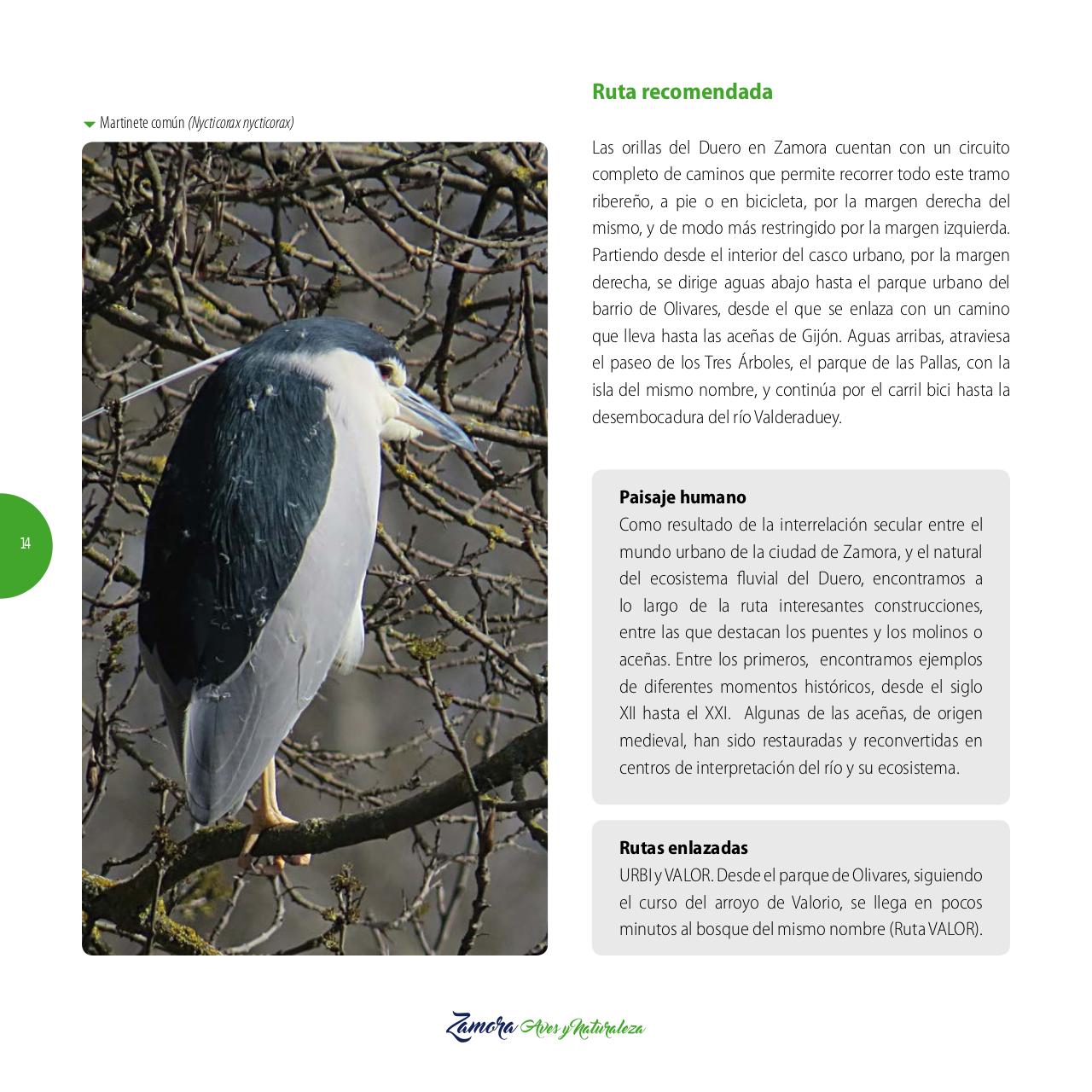 Vista previa del archivo PDF gu-a-aves-y-naturaleza-2017.pdf