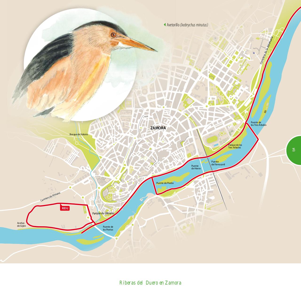 Vista previa del archivo PDF gu-a-aves-y-naturaleza-2017.pdf