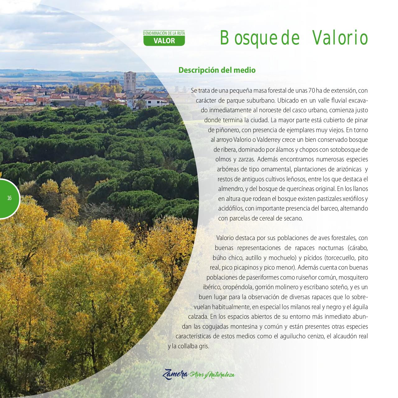 Vista previa del archivo PDF gu-a-aves-y-naturaleza-2017.pdf