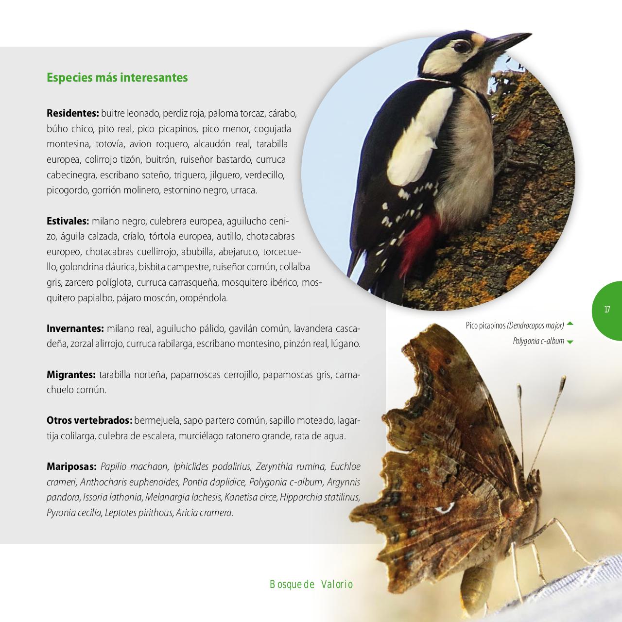 Vista previa del archivo PDF gu-a-aves-y-naturaleza-2017.pdf