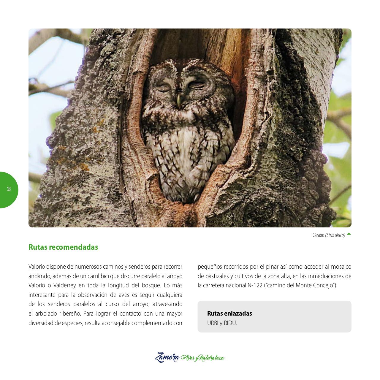Vista previa del archivo PDF gu-a-aves-y-naturaleza-2017.pdf